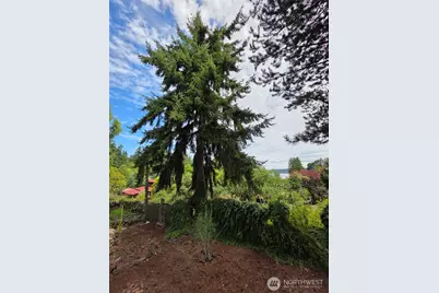 371 E Price Street, Port Hadlock, WA 98339 - Photo 27