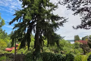 371 E Price St, Port Hadlock, WA 98339 - Photo 27