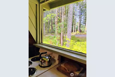 119 Timberline Drive W, Packwood, WA 98361 - Photo 15