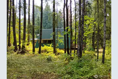 119 Timberline Drive W, Packwood, WA 98361 - Photo 25