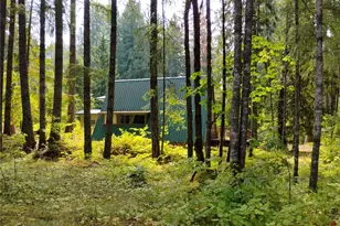 119 Timberline Dr W, Packwood, WA 98361 - Photo 25