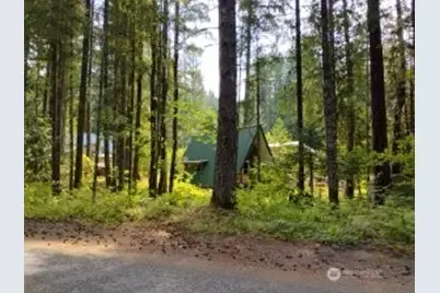 119 Timberline Drive W, Packwood, WA 98361 - Photo 27