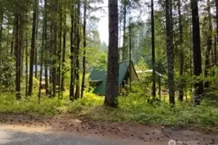 119 Timberline Dr W, Packwood, WA 98361 - Photo 27