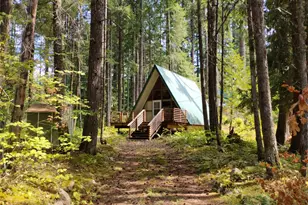 119 Timberline Dr W, Packwood, WA 98361 - Photo 3