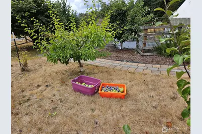 12606 Silver Drive, Anderson Island, WA 98303 - Photo 17