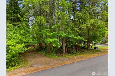 0 Xx N Mountain View Drive, Hoodsport, WA 98548 - Photo 1