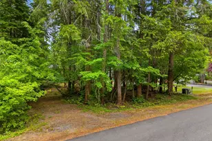 0 Xx N Mountain View Dr, Hoodsport, WA 98548 - Photo 1