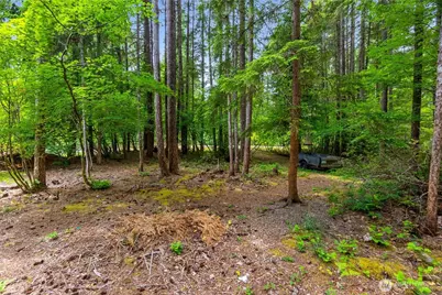 0 Xx N Mountain View Drive, Hoodsport, WA 98548 - Photo 5