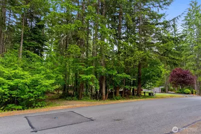 0 Xx N Mountain View Drive, Hoodsport, WA 98548 - Photo 7