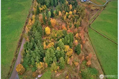 19441 Cougar Mountain Airport Road SE, Yelm, WA 98597 - Photo 3