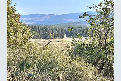 19441 Cougar Mountain Airport Road SE, Yelm, WA 98597 - Photo 5