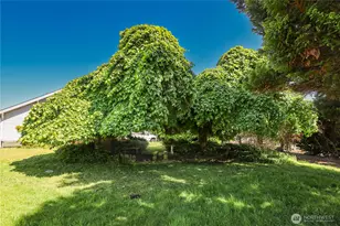 55 Devonshire Rd, Montesano, WA 98563 - Photo 7