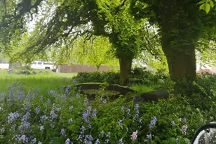 55 Devonshire Rd, Montesano, WA 98563 - Photo 13