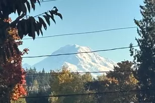 25916 18th Ave S, Des Moines, WA 98198 - Photo 37