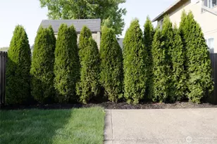 18722 17th Ave E, Spanaway, WA 98387 - Photo 23