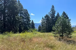 113 Eagles Bluff Rd, Oroville, WA 98844 - Photo 27