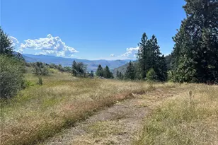 113 Eagles Bluff Rd, Oroville, WA 98844 - Photo 23