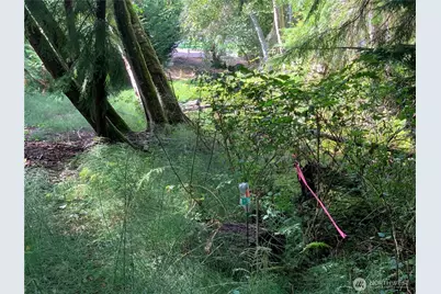 1239 Nooksack Drive, Fox Island, WA 98333 - Photo 9