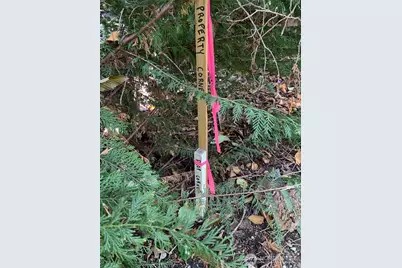 1239 Nooksack Drive, Fox Island, WA 98333 - Photo 11