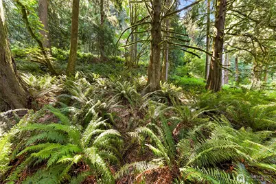 14 Woodpecker Place, Bellingham, WA 98229 - Photo 15