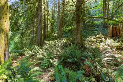 14 Woodpecker Place, Bellingham, WA 98229 - Photo 13