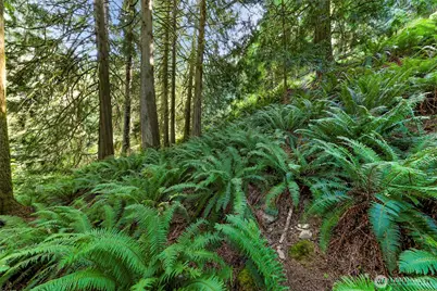 14 Woodpecker Place, Bellingham, WA 98229 - Photo 21