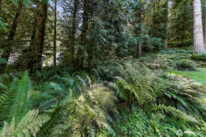 14 Woodpecker Place, Bellingham, WA 98229 - Photo 9