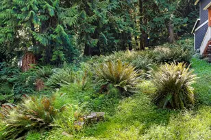 14 Woodpecker Pl, Bellingham, WA 98229 - Photo 1