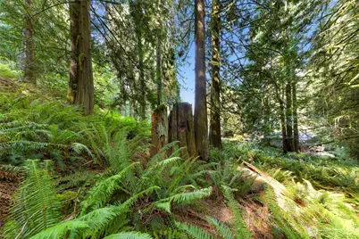 14 Woodpecker Place, Bellingham, WA 98229 - Photo 19