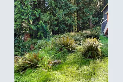 14 Woodpecker Place, Bellingham, WA 98229 - Photo 5