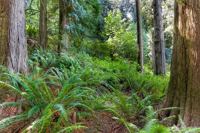 14 Woodpecker Place, Bellingham, WA 98229 - Photo 23