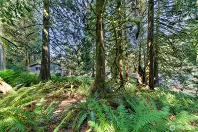 14 Woodpecker Place, Bellingham, WA 98229 - Photo 17