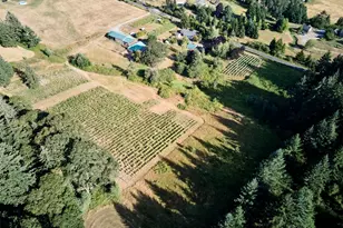 11700 NE 279th St, Battle Ground, WA 98604 - Photo 1