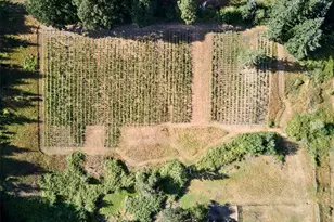 11700 NE 279th St, Battle Ground, WA 98604 - Photo 35