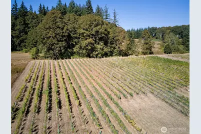 11700 NE 279th Street, Battle Ground, WA 98604 - Photo 33