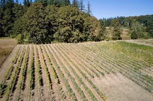 11700 NE 279th St, Battle Ground, WA 98604 - Photo 33