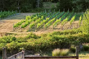 11700 NE 279th St, Battle Ground, WA 98604 - Photo 21