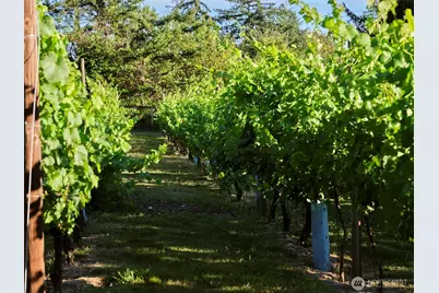 11700 NE 279th Street, Battle Ground, WA 98604 - Photo 29