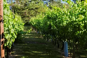 11700 NE 279th St, Battle Ground, WA 98604 - Photo 29