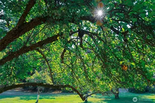 83 Medsker Rd, Sequim, WA 98382 - Photo 31