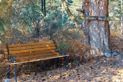 83 Medsker Road, Sequim, WA 98382 - Photo 37