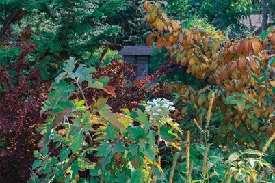 83 Medsker Road, Sequim, WA 98382 - Photo 33