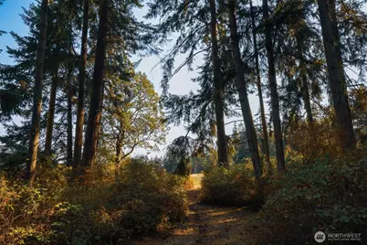 83 Medsker Road, Sequim, WA 98382 - Photo 39