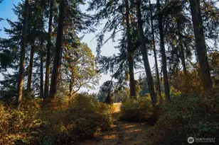 83 Medsker Rd, Sequim, WA 98382 - Photo 39