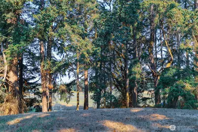 83 Medsker Road, Sequim, WA 98382 - Photo 35