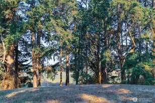 83 Medsker Rd, Sequim, WA 98382 - Photo 35