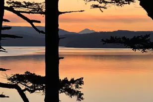 976 San Juan Dr, Friday Harbor, WA 98250 - Photo 35