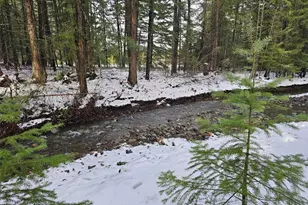 135 Rally Way, Easton, WA 98925 - Photo 3