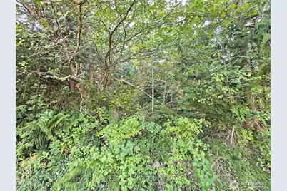 0 N Bay Way, Port Ludlow, WA 98365 - Photo 9