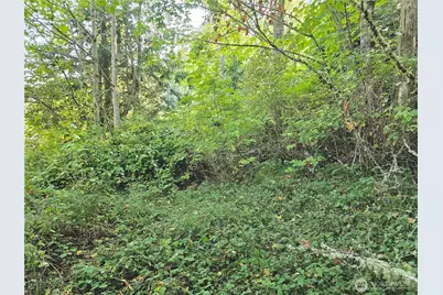 0 N Bay Way, Port Ludlow, WA 98365 - Photo 7